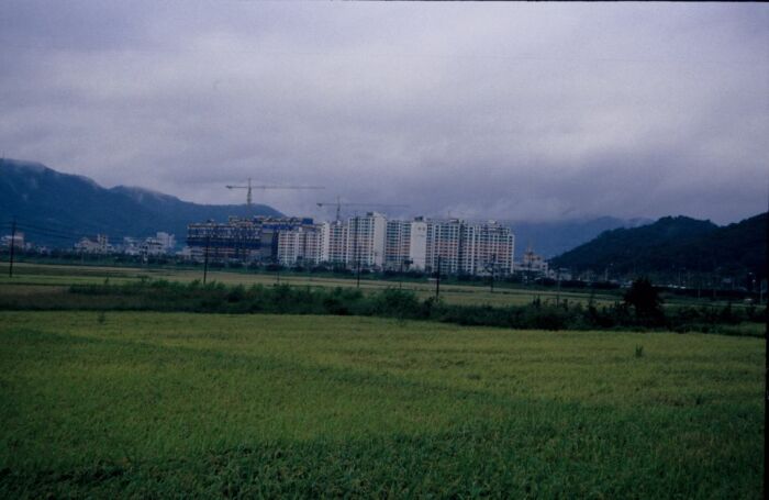 einladender Blick auf Gwang-Yang