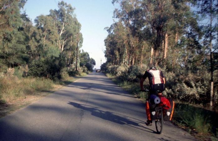 auf der D337 in Richtung Meer