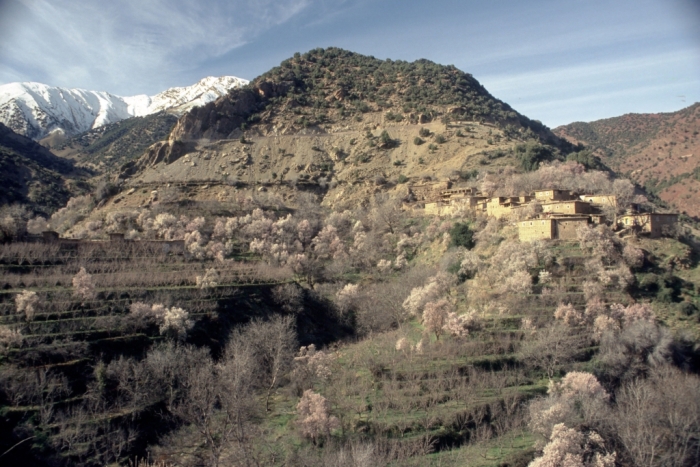 eins der wenigen Bergdörfer im Atlas