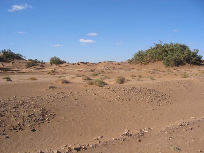 erste Dünen am Wegesrand