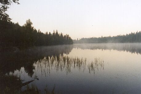 Nebel über dem See