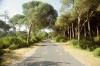 die erste verkehrsberuhigte Straße südlich der Costa da Caparica