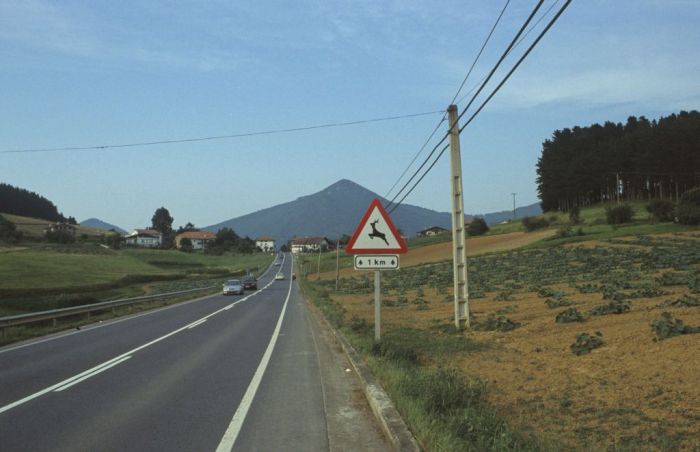 die Straßen waren gut asphaltiert und mäßig befahren