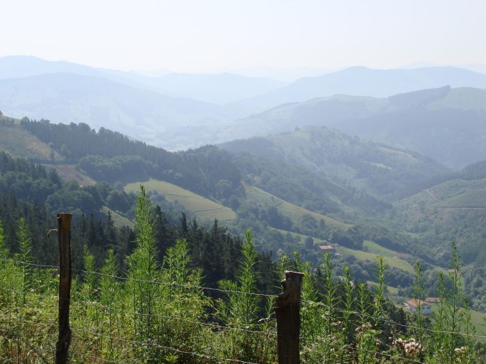 Blick auf die kommenden Prüfungen