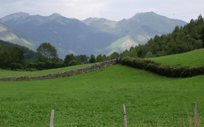 Idyllische Wiese neben der Straße